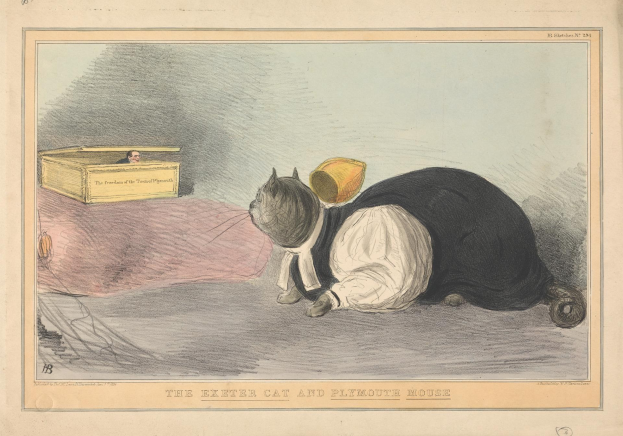 Eine schwarz-weiße Katze liegt auf dem Boden neben einer Kartonschachtel mit einer Person darin, und Text am unteren Bildrand.