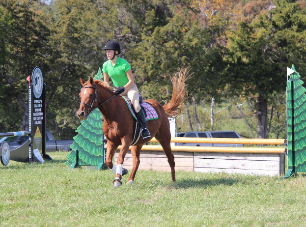 Eine Person in einem grünen T-Shirt reitet ein Pferd auf Gras, mit Werbetafeln, Pfählen, einem Fahrzeug und Bäumen im Hintergrund.