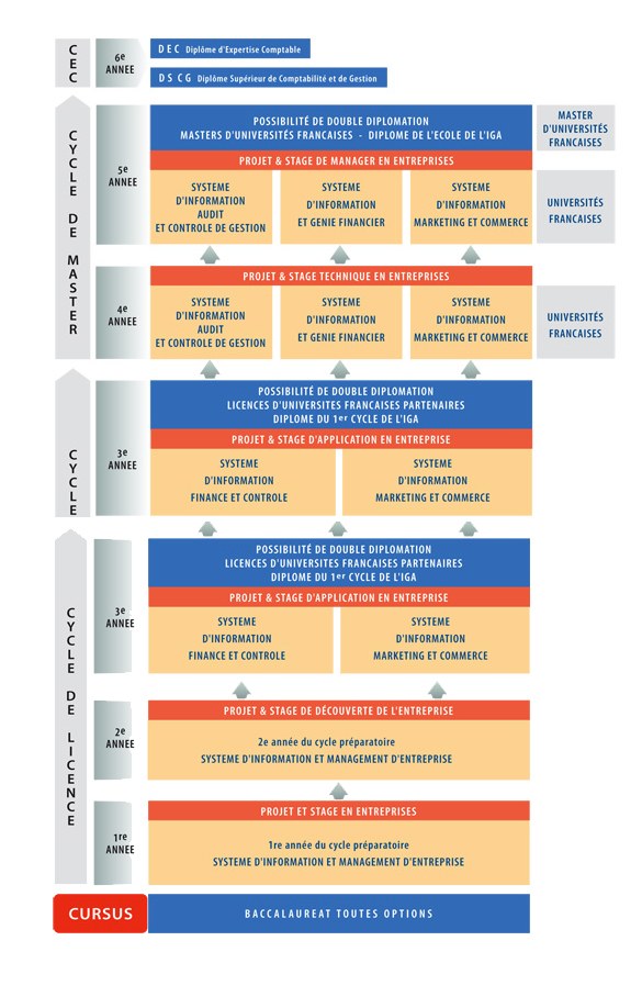 Diagramm, das die organisatorische Struktur eines Unternehmens und die Phasen des Geschäftsprozesses mit miteinander verbundenen Kästchen und beschreibendem Text darstellt.