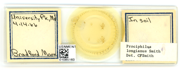 Ein Teller mit der Aufschrift "Im Boden" und einem Barcode, der Boden und zusätzliche Textinformation enthält.