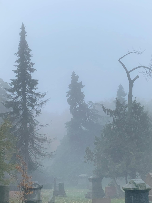 Nebliger Friedhof mit ein paar Grabsteinen und Bäumen im Hintergrund unter einem nebligen grauen Himmel.