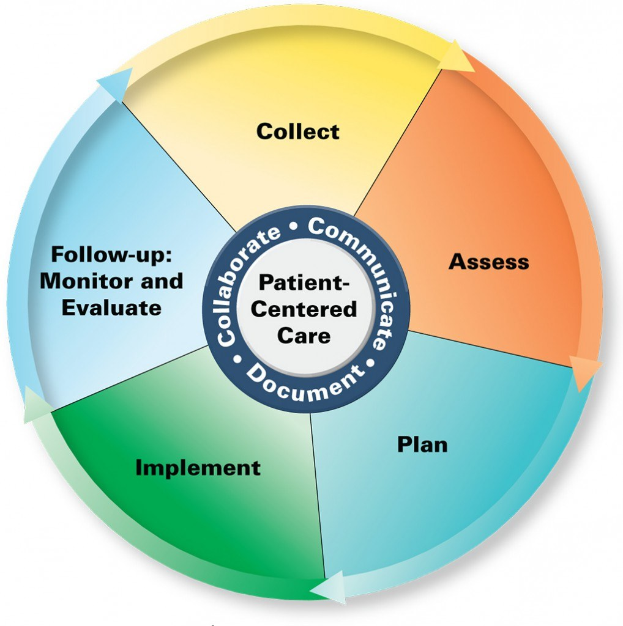 Ein Kreisdiagramm mit der Bezeichnung "patientenorientierte Pflege" und vier farbigen Abschnitten, von denen jeder einen spezifischen Aspekt der Pflege bezeichnet.