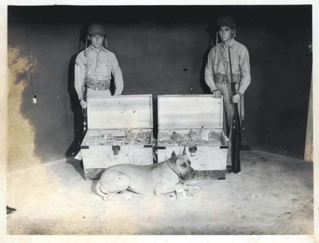 Ein Hund steht in der Mitte des Bildes, mit Kisten dahinter, zwei Personen mit Waffen hinter den Kisten und eine Wand im Hintergrund.