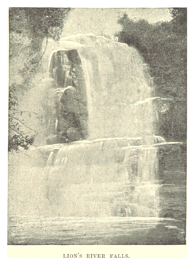 Ein majestätischer Wasserfall ergießt sich über eine felsige Klippe, umgeben von üppigen Bäumen, mit dem Text "Löwenflüsse" unten.