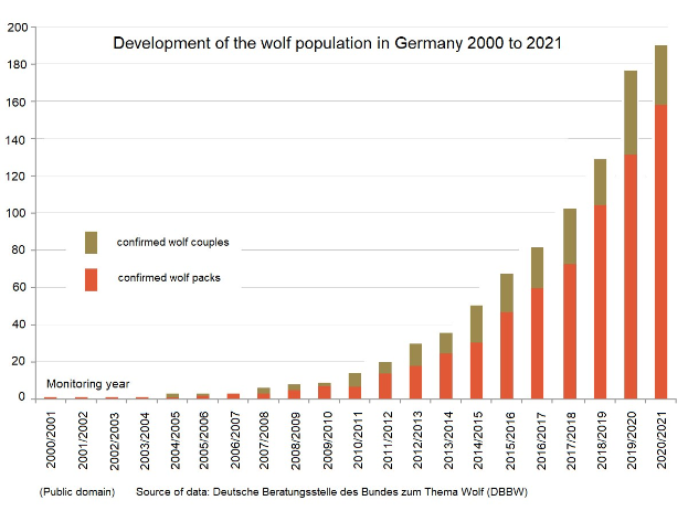 Liniengraph, der den Anstieg der Wolfsbestände in Deutschland von 2000 bis 2021 zeigt, mit begleitendem erklärendem Text.