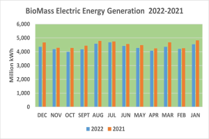 Graphik, die die Stromerzeugung aus Biomasse von 2021 bis 2022 zeigt, mit begleitendem Erläuterungstext.