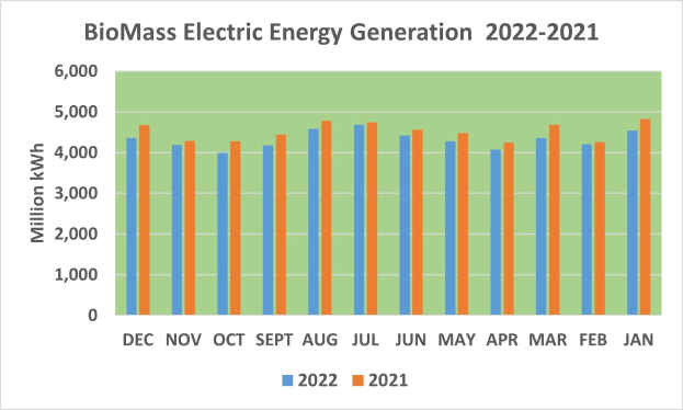 Graphik, die die Stromerzeugung aus Biomasse von 2021 bis 2022 zeigt, mit begleitendem Erläuterungstext.