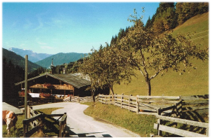 Ein altes Foto eines Bauernhofs mit einer Kuh, die neben einer Straße grast, umgeben von einem Holzzaun, Häusern, Bäumen und einem bewölkten Himmel.