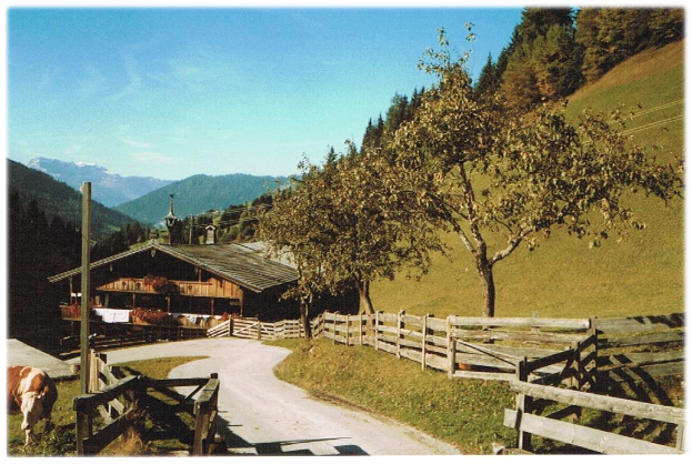 Ein altes Foto eines Bauernhofs mit einer Kuh, die neben einer Straße grast, umgeben von einem Holzzaun, Häusern, Bäumen und einem bewölkten Himmel.
