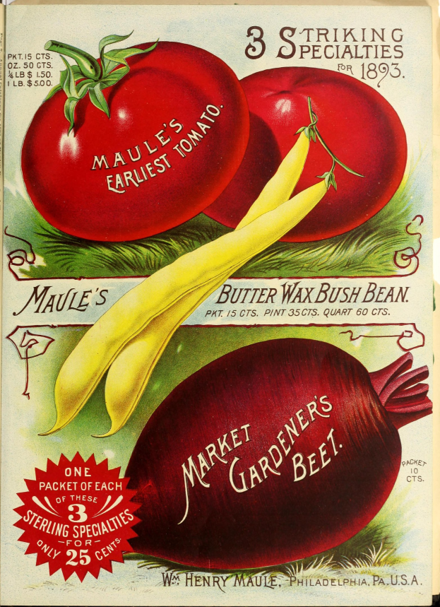 Ein Vintage-Plakat mit einer bunten Anordnung von Gemüsen wie Tomaten und Rüben, mit der Aufschrift "Marktgärtner's Beet" oben in einer fetten Schrift.
