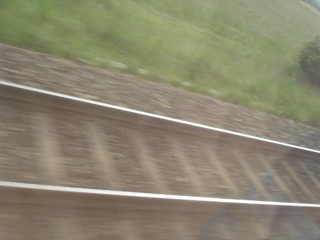 Eine Schienenstrecke mit Steinen darauf, flankiert von kleinen Pflanzen auf beiden Seiten.