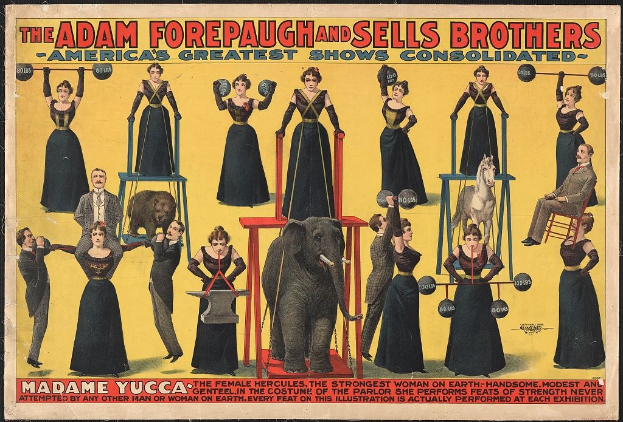 Plakat für die vereinigte Zirkusshow von Adam Forepaugh und Sells Brothers mit Performern auf Hockern und einem zentralen Elefanten mit Text.