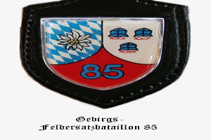 Ein rundes Abzeichen mit der Nummer 85 und deutschem Text unten, das das Logo der bayerischen Fußballmannschaft darstellt.