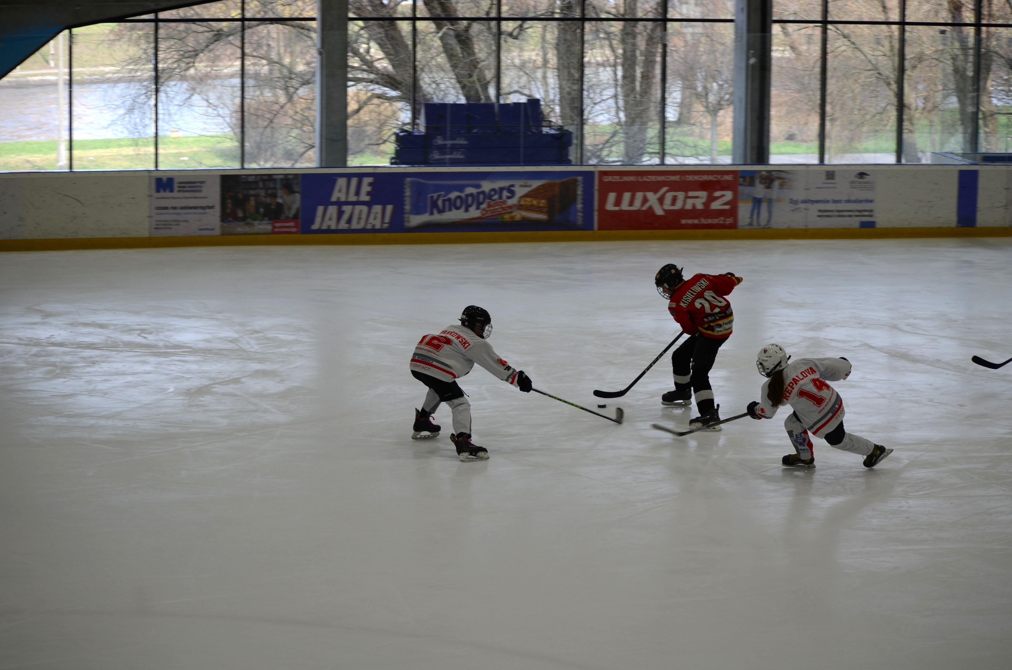 Eine Gruppe von Menschen spielt Eisockey auf einer Indoor-Eisfläche, trägt Helme und Schlittschuhe und hält Hockey-Schläger, mit Bannern an den Wänden und durch die Glaswände sichtbaren Bäumen.