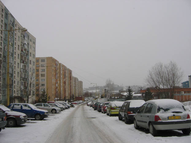Eine Wohnstraße mit Häusern, Bäumen, Autos und Strommasten auf beiden Seiten, die von Schnee bedeckt ist.